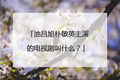 池昌旭朴敏英主演的电视剧叫什么?