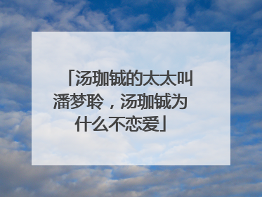 汤珈铖的太太叫潘梦聆,汤珈铖为什么不恋爱