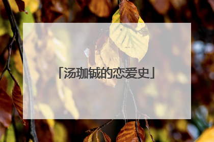 汤珈铖的恋爱史