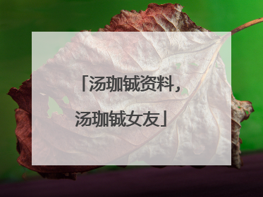 汤珈铖资料,汤珈铖女友