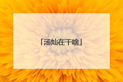 汤灿在干啥