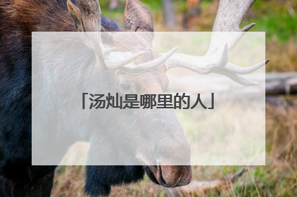 汤灿是哪里的人