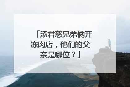 汤君慈兄弟俩开冻肉店，他们的父亲是哪位？
