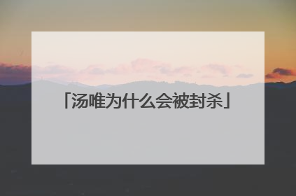 汤唯为什么会被封杀