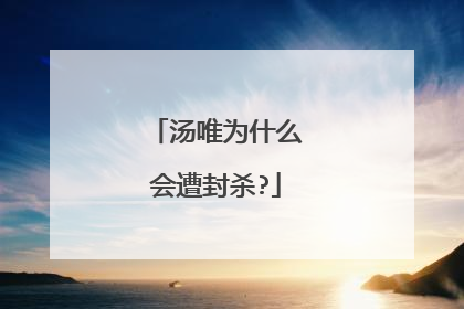 汤唯为什么会遭封杀?