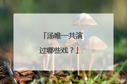 汤唯一共演过哪些戏？