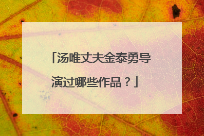 汤唯丈夫金泰勇导演过哪些作品？