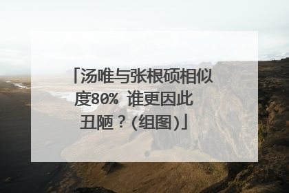 汤唯与张根硕相似度80% 谁更因此丑陋?(组图)