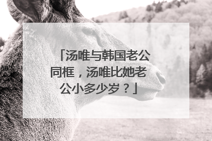 汤唯与韩国老公同框,汤唯比她老公小多少岁?