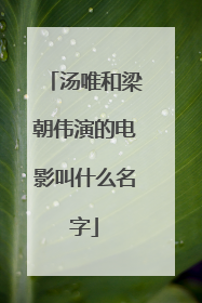 汤唯和梁朝伟演的电影叫什么名字