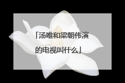 汤唯和梁朝伟演的电视叫什么