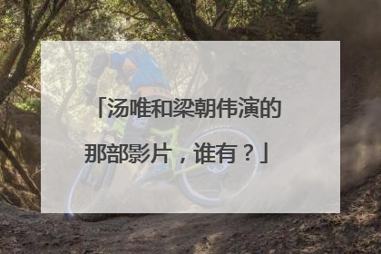 汤唯和梁朝伟演的那部影片，谁有？