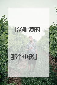 汤唯演的那个电影