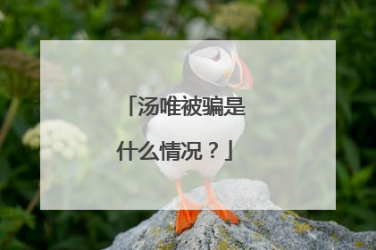 汤唯被骗是什么情况？