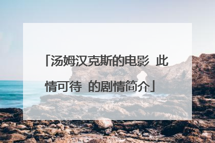 汤姆汉克斯的电影 此情可待 的剧情简介