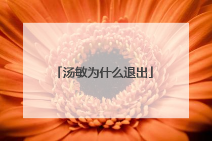 汤敏为什么退出