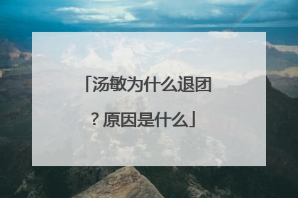 汤敏为什么退团？原因是什么