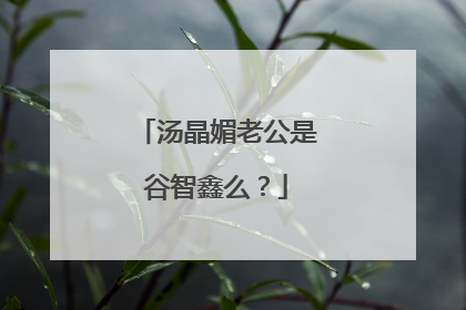 汤晶媚老公是谷智鑫么？