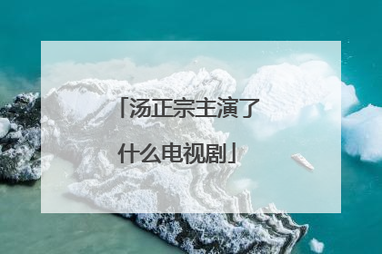 汤正宗主演了什么电视剧