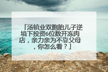 汤镇业双胞胎儿子逆境下投资6位数开冻肉店，亲力亲为不靠父母，你怎么看？