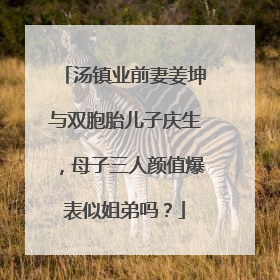 汤镇业前妻姜坤与双胞胎儿子庆生，母子三人颜值爆表似姐弟吗？