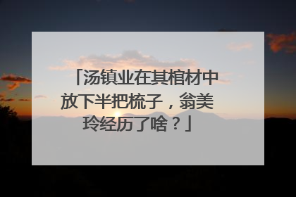 汤镇业在其棺材中放下半把梳子,翁美玲经历了啥?