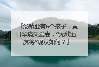 汤镇业有6个孩子，黄日华痛失爱妻，“无线五虎将”现状如何？
