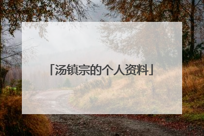 汤镇宗的个人资料