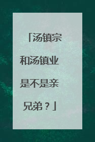 汤镇宗和汤镇业是不是亲兄弟?