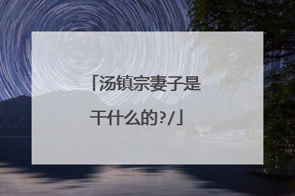 汤镇宗妻子是干什么的?/