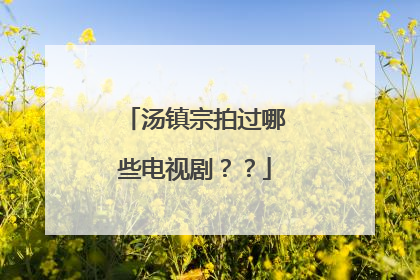 汤镇宗拍过哪些电视剧??