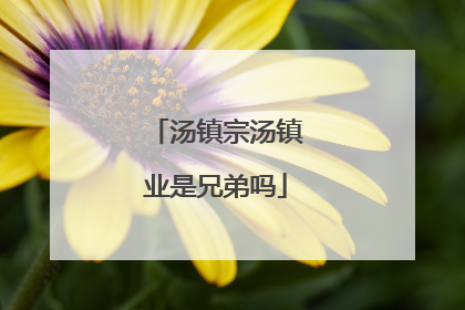 汤镇宗汤镇业是兄弟吗