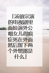 汤镇宗演的电视剧里面扮演外公嗯女儿得癌症死在外面然后留下两个外甥那是什么