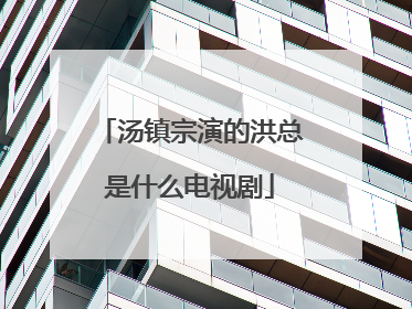 汤镇宗演的洪总是什么电视剧