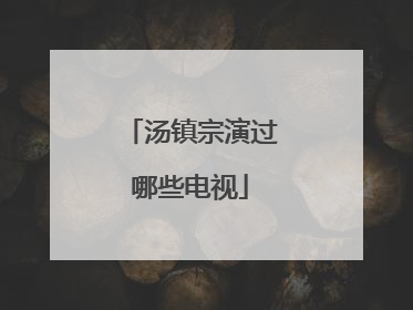 汤镇宗演过哪些电视
