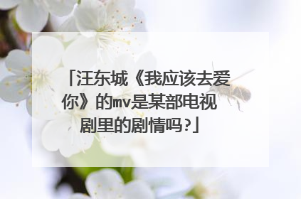 汪东城《我应该去爱你》的mv是某部电视剧里的剧情吗?