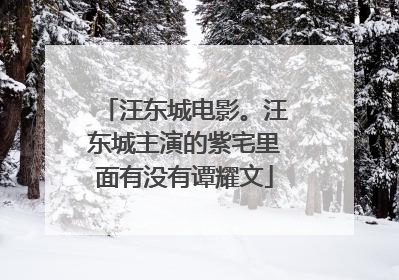 汪东城电影。汪东城主演的紫宅里面有没有谭耀文