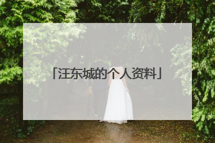 汪东城的个人资料