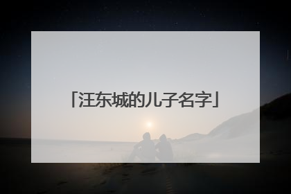 汪东城的儿子名字