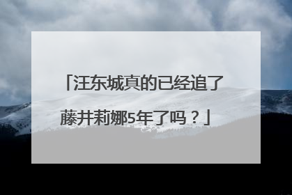 汪东城真的已经追了藤井莉娜5年了吗?