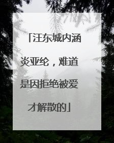 汪东城内涵炎亚纶,难道是因拒绝被爱才解散的