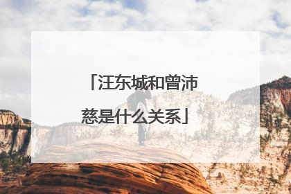 汪东城和曾沛慈是什么关系