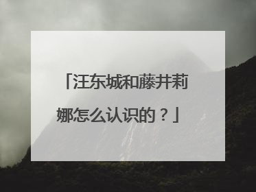 汪东城和藤井莉娜怎么认识的?