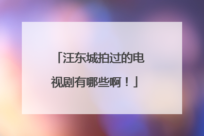 汪东城拍过的电视剧有哪些啊!
