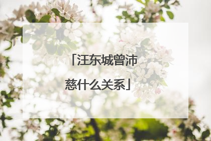 汪东城曾沛慈什么关系