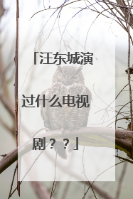 汪东城演过什么电视剧??