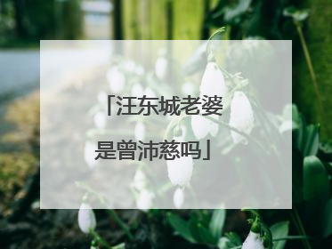 汪东城老婆是曾沛慈吗