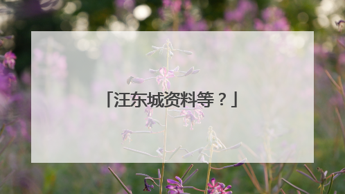 汪东城资料等？