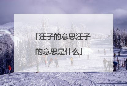 汪子的意思汪子的意思是什么