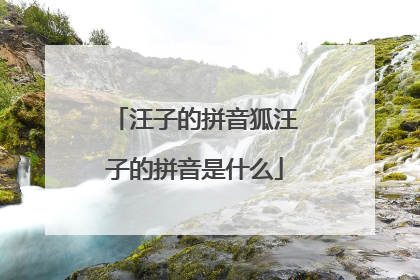 汪子的拼音狐汪子的拼音是什么